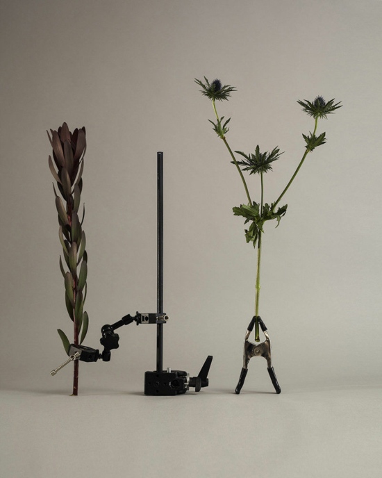 0411 - Personal - Tom Brannigan  - Overview Still life  - Anne-Marie Gardinier Photographic Agency - Paris