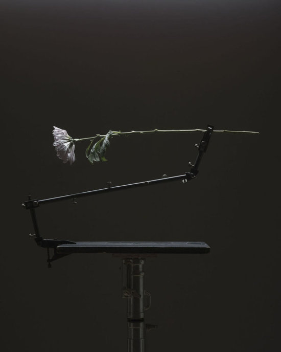 042-scaled - Personal - Tom Brannigan  - Overview Still life  - Anne-Marie Gardinier Photographic Agency - Paris