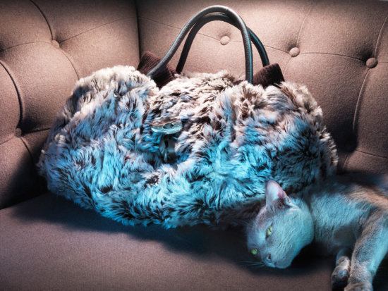 Jason-Hindley-219 - D 15 - Jason Hindley  - Still life  - Anne-Marie Gardinier Photographic Agency - Paris