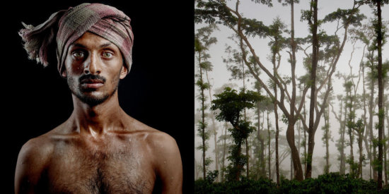 INDIA_21 - Lavazza Calendar - Denis Rouvre  - Overview  - Anne-Marie Gardinier Photographic Agency - Paris