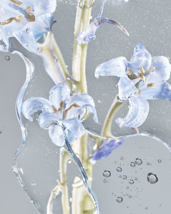 TB_GARDEN_PHOTOGRAMSTUDIES_MAY2111266 - Water - Tom Brannigan  - Still life  - Anne-Marie Gardinier Photographic Agency - Paris