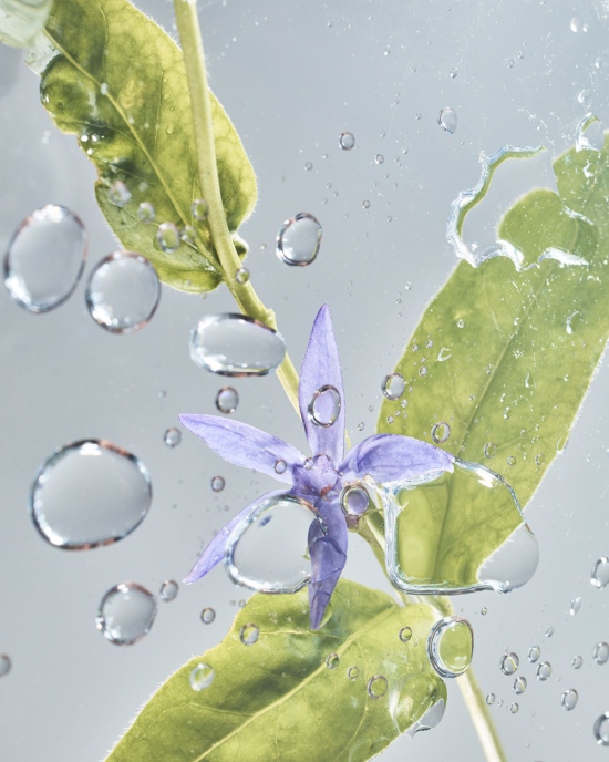 TB_GARDEN_PHOTOGRAMSTUDIES_MAY2111285 - Water - Tom Brannigan  - Still life  - Anne-Marie Gardinier Photographic Agency - Paris