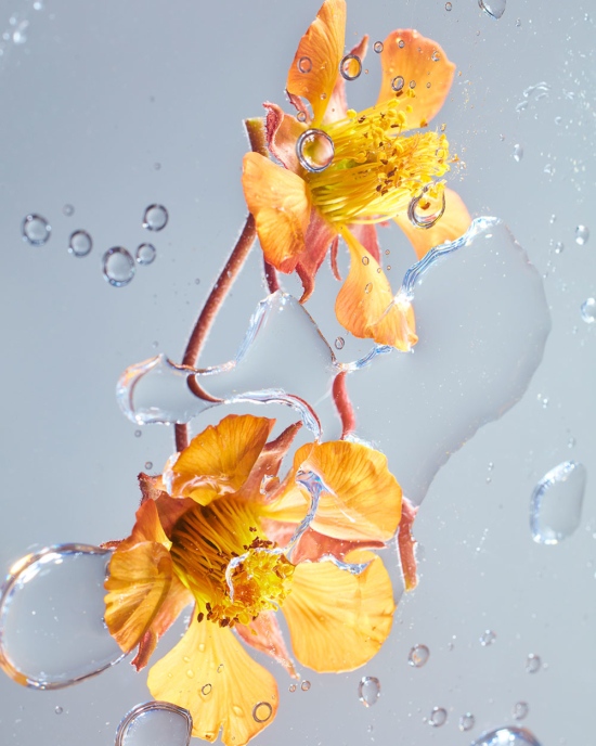 TB_GARDEN_PHOTOGRAMSTUDIES_MAY2111305 - Water - Tom Brannigan  - Still life  - Anne-Marie Gardinier Photographic Agency - Paris