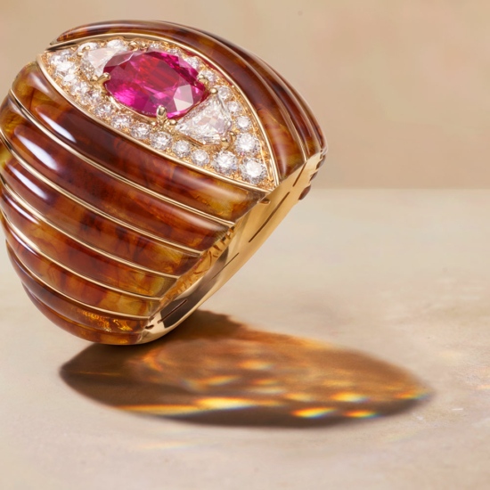 FawazGruosi-04-STILL-CHEVALIER-E-RUBIS-DIAMANTS-141_RGB_V3 - Fawaz Gruosi - Karin Berndl  - Overview  - Anne-Marie Gardinier Photographic Agency - Paris