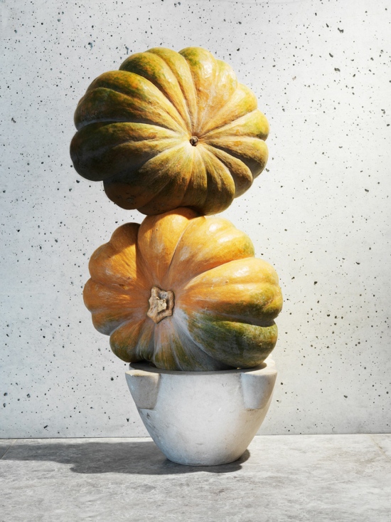 Pumpkins01-2 - Fruit, Veg - Jason Hindley  - Still life  - Anne-Marie Gardinier Photographic Agency - Paris