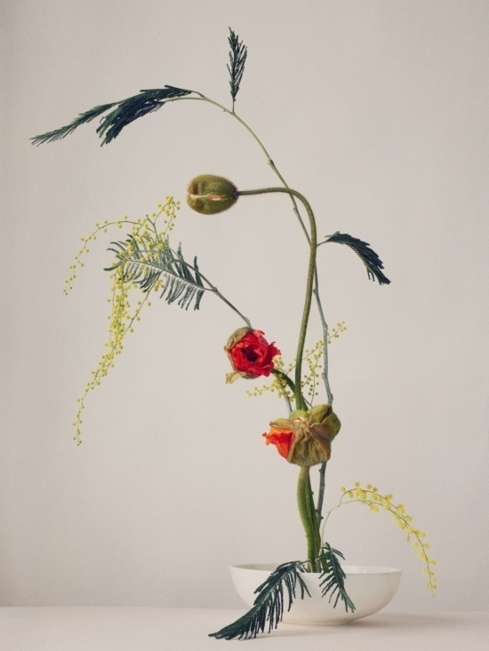 1KarinBerndl -  - Karin Berndl  - Overview Still life  - Anne-Marie Gardinier Photographic Agency - Paris