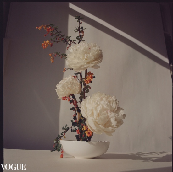 PhotoVoguePeonies -  - Karin Berndl  - Overview Still life  - Anne-Marie Gardinier Photographic Agency - Paris