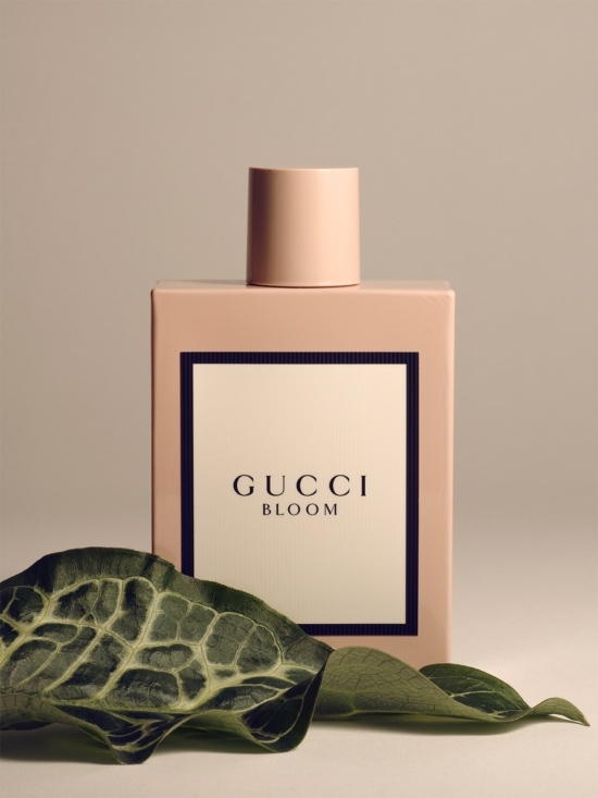 GUCCI_BLUM_1 – Grande -  - Jean Philippe Lebée  - Overview  - Anne-Marie Gardinier Photographic Agency - Paris