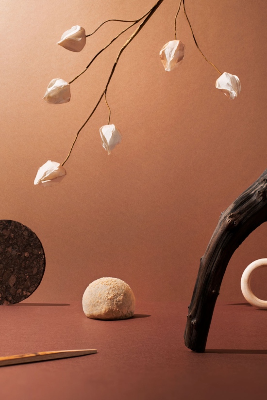 CAMILLE_ET_CHARLOTTE_WAGASHI_03 -  - Camille & Charlotte  - Overview  - Anne-Marie Gardinier Photographic Agency - Paris
