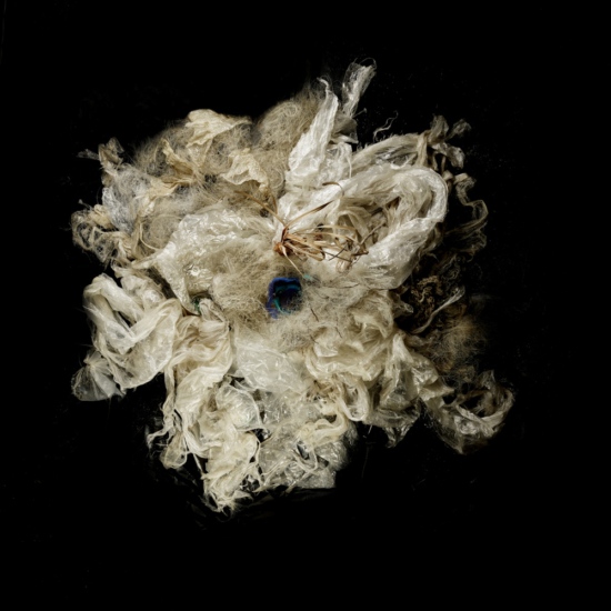 tribos-imaginarias-2448880 - O dia seguinte - Denis Rouvre  - Overview  - Anne-Marie Gardinier Photographic Agency - Paris