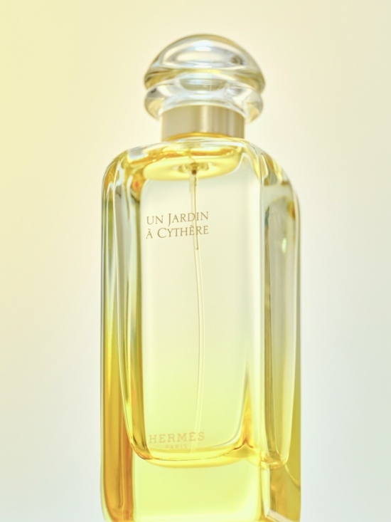 240313_PARFUM3809 – Grande - Laura Bonnefous - Laura Bonnefous  - Overview Still life  - Anne-Marie Gardinier Photographic Agency - Paris