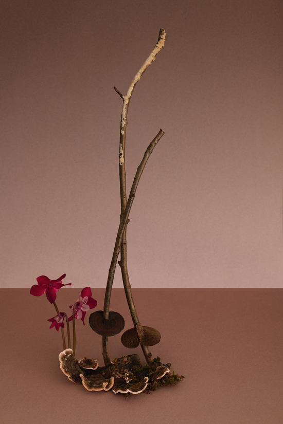 Stacked from 17 images. Method=B (R=8,S=4) - Camille & Charlotte - Camille & Charlotte  - Overview  - Anne-Marie Gardinier Photographic Agency - Paris