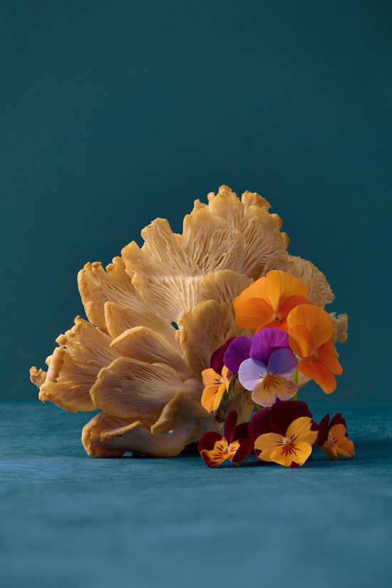 Stacked from 13 images. Method=B (R=8,S=4) - Camille & Charlotte - Camille & Charlotte  - Overview  - Anne-Marie Gardinier Photographic Agency - Paris