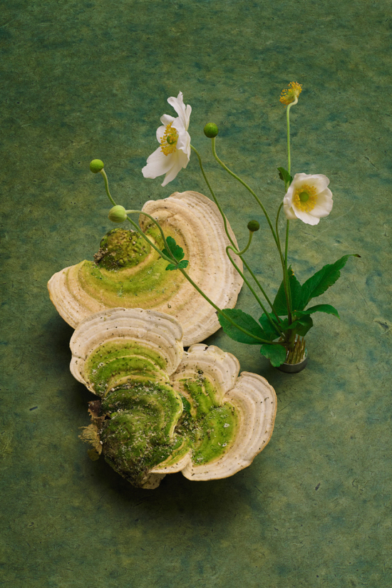 CAMILLE_ET_CHARLOTTE_SYMBIOSE_02 - Camille & Charlotte - Camille & Charlotte  - Overview  - Anne-Marie Gardinier Photographic Agency - Paris