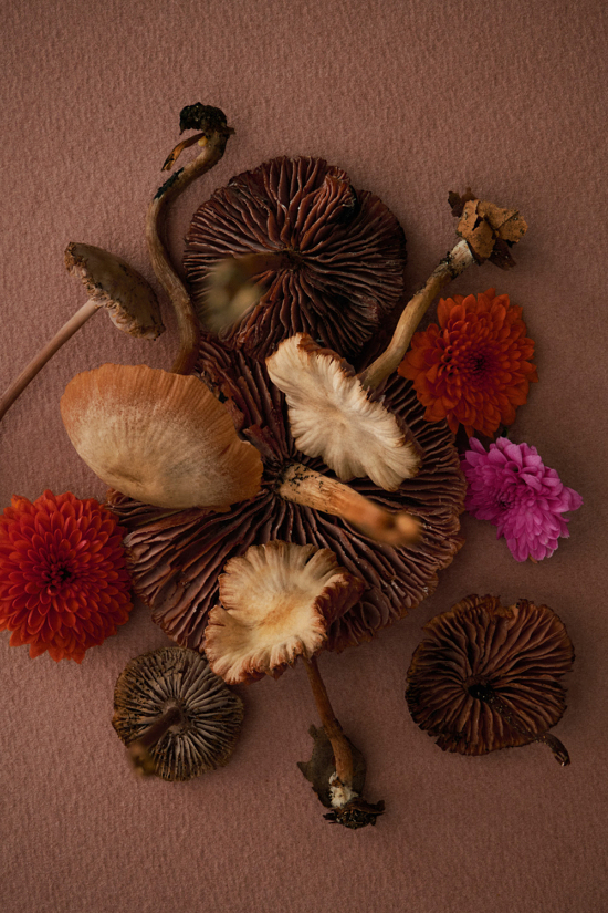 Stacked from 10 images. Method=B (R=8,S=4) - Camille & Charlotte - Camille & Charlotte  - Overview  - Anne-Marie Gardinier Photographic Agency - Paris