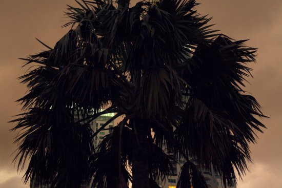 chloeclaverie_southbeach_6 - Chloe Claverie_Paysage - Chloé Claverie  - Overview  - Anne-Marie Gardinier Photographic Agency - Paris