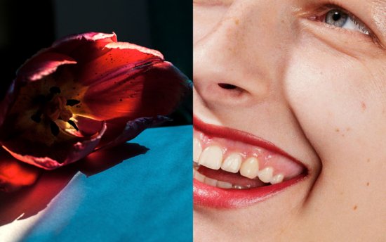 dyptich-flowerredlips - Chloe Claverie - Chloé Claverie  - Overview  - Anne-Marie Gardinier Photographic Agency - Paris