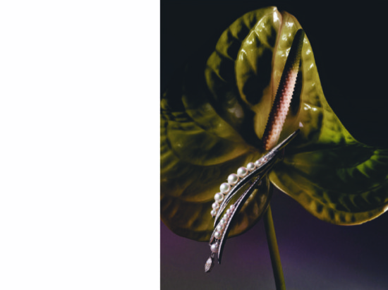 JOAILLERIE 11 24-4 - Christine Lerche – Bijoux -  - Overview  - Anne-Marie Gardinier Photographic Agency - Paris