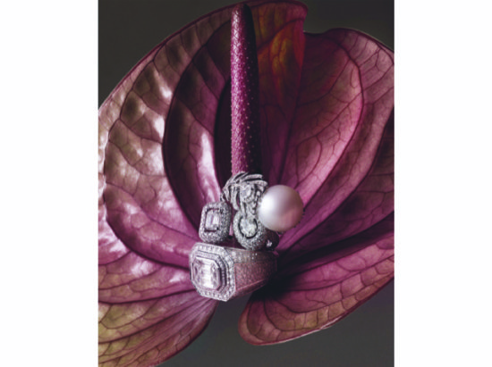 JOAILLERIE 11 24-8 - Christine Lerche – Bijoux -  - Overview  - Anne-Marie Gardinier Photographic Agency - Paris