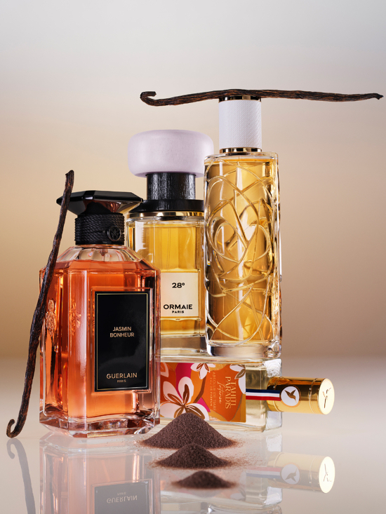 RGB_STACK_250150_250154_f2_BDEF - Tom Brannigan for GALA - Tom Brannigan  - Overview Still life  - Anne-Marie Gardinier Photographic Agency - Paris