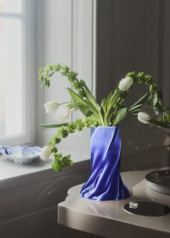 161224_R_C_03_016_BDEF - Claus Troelsgaard – Still Life - Claus Troelsgaard  - Overview  - Anne-Marie Gardinier Photographic Agency - Paris