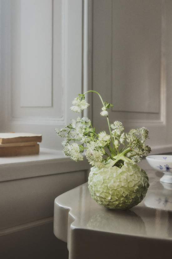 161224_R_C_03_067_BDEF - Claus Troelsgaard – Still Life - Claus Troelsgaard  - Overview  - Anne-Marie Gardinier Photographic Agency - Paris