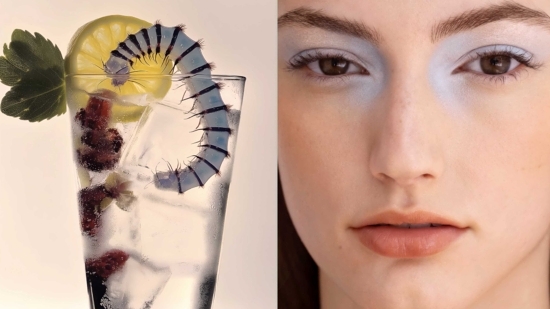 Screenshot - Chloé Claverie - Chloé Claverie  - Motion Overview  - Anne-Marie Gardinier Photographic Agency - Paris