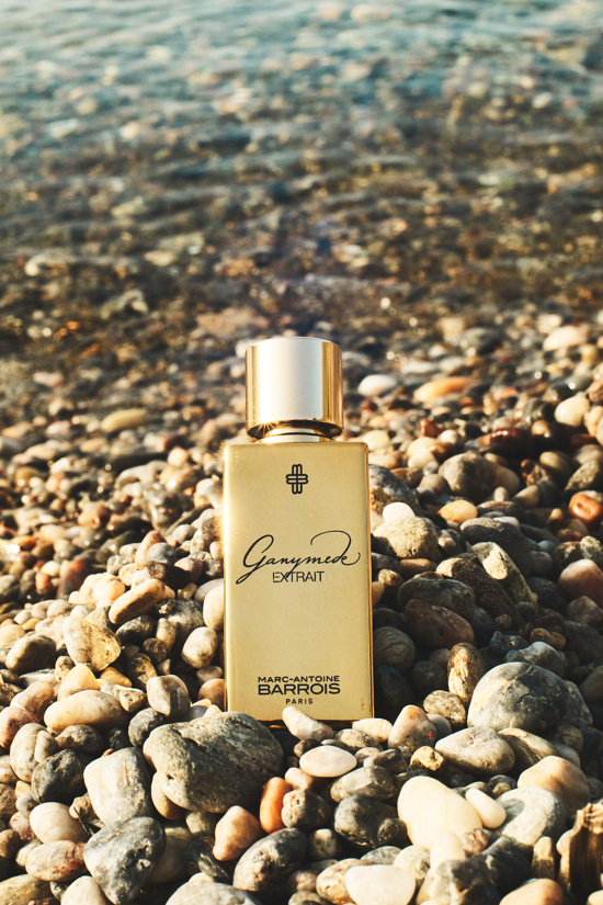 250612_MAB_S1_0156- by OLIVIER YOAN_BDEF - Olivier Yoan for Marc-Antoine Barrois - Olivier Yoan  - Overview  - Anne-Marie Gardinier Photographic Agency - Paris