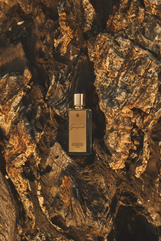 250612_MAB_S1_0436- by OLIVIER YOAN_BDEF - Olivier Yoan for Marc-Antoine Barrois - Olivier Yoan  - Overview  - Anne-Marie Gardinier Photographic Agency - Paris