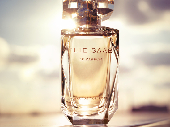 9I17oHOfKnrAPexpT3ERGv65 - Karin Berndl – Elie Saab - Karin Berndl  - Overview Still life  - Anne-Marie Gardinier Photographic Agency - Paris