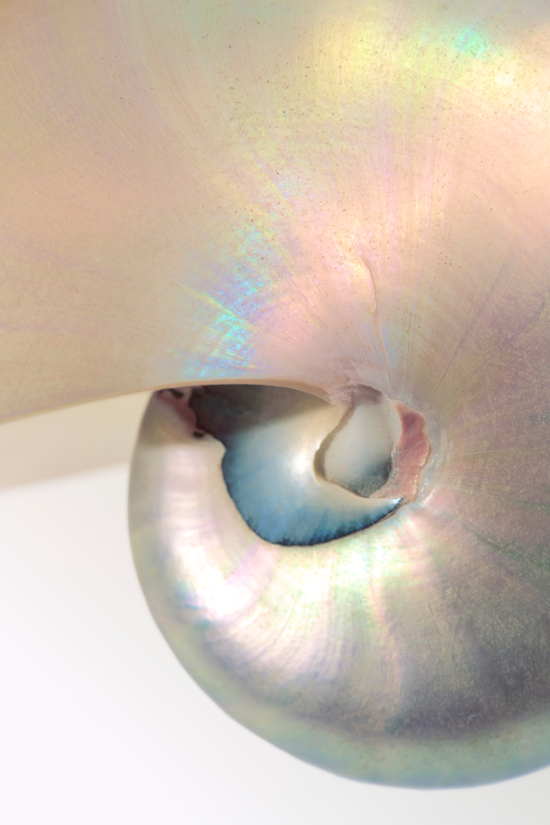 Camille & Charlotte – Iridescent