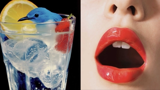 Screenshot - Chloé Claverie - Chloé Claverie  - Motion Overview  - Anne-Marie Gardinier Photographic Agency - Paris