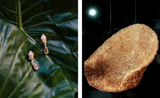 Diptyque site Lorenzo-3 - Diptyque - Lorenzo Meloni  - Overview  - Anne-Marie Gardinier Photographic Agency - Paris