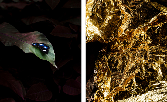 Diptyque site Lorenzo-4 - Diptyque - Lorenzo Meloni  - Overview  - Anne-Marie Gardinier Photographic Agency - Paris